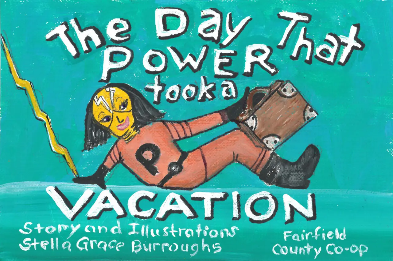 The Day That Power Took a Vacation book cover